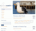 Free Joomla Template: Bird Watch